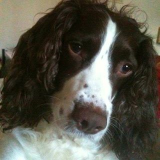 Andrew Cooper's avatar