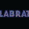 Garry Bassett's avatar