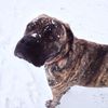 Tracy Jones's avatar
