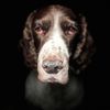 Andy Thomas's avatar