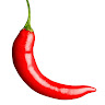 The Chili Guy's avatar