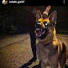 Dayne Duffie's avatar