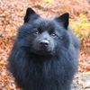 Debra Roberts's avatar
