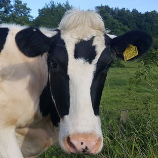 Bogdan Popovici's avatar