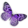 David & Debra Smith's avatar
