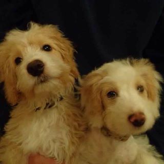 Darren Crosby's avatar