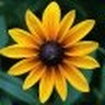 Steve Biggins's avatar