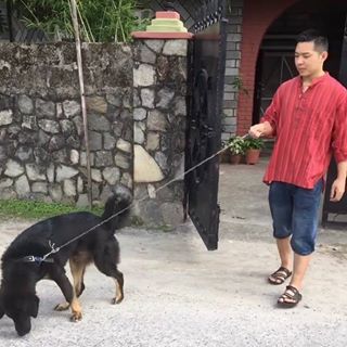 Prem Ba Ba's avatar