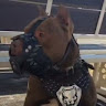 BIGDOG 69's avatar