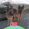 Sally Blackler's avatar