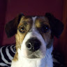 Chloe Bullett's avatar