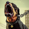 Matthew Chadderton's avatar