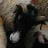 Beth Jones's avatar
