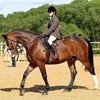 Nikki Higgins's avatar