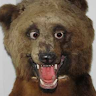 Nick Dodd's avatar