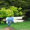 Fiona Williams's avatar