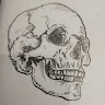 Dave Grant's avatar