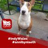 Ann Jones's avatar