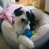 Adele Anderson's avatar