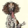 Paul Hall's avatar