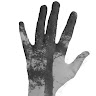 Sharni Jewkes's avatar