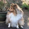 Eileen Todd's avatar