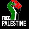 Rahiel Muhammad's avatar