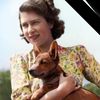 Wendy Fitzgerald's avatar