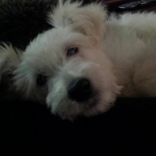 Steve Bedford's avatar