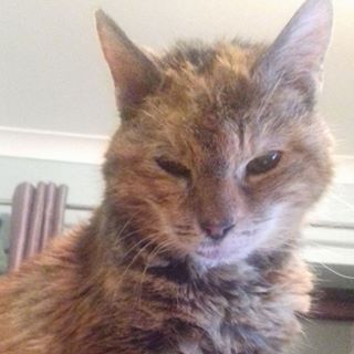 Bill Hogg's avatar