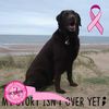 Anne-Marie Clarke's avatar