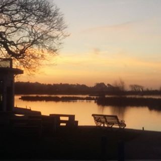 Carole Driver's avatar