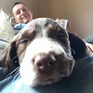 Andrew Clark's avatar