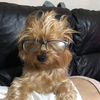 Jason Wheelan's avatar