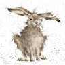 Tony Callow's avatar