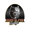 BORNALPHABULLYS's avatar