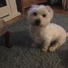 Lucy Hodgson's avatar