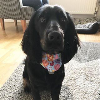 Sharon Barton's avatar