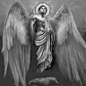 ROTHS MORE.'s avatar