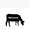 Rich Hiscock's avatar