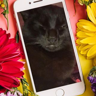 Wendy Taylor's avatar