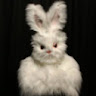 Ian Beswick's avatar