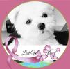 Sheila Philp's avatar