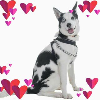 Joanne Woodland's avatar