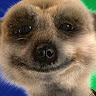 Mike Batters's avatar