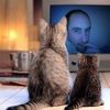Jonathon Wood's avatar