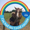 Pam Bonner's avatar