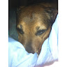 jules seeney's avatar
