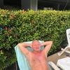 Tom Naylor's avatar