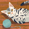 Sarah Kinch's avatar